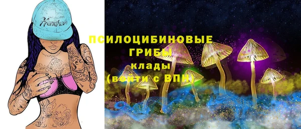 ECSTASY Коряжма
