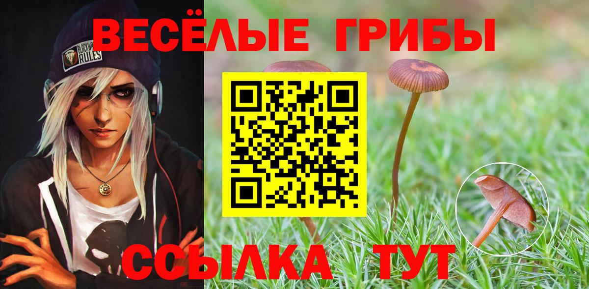 Псилоцибиновые грибы мухоморы Мончегорск